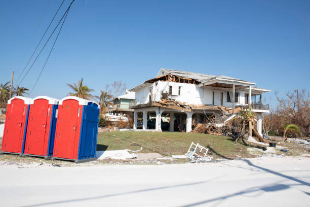 Best Emergency Tree Removal  in Minor, AL